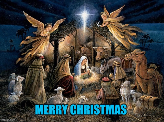 MERRY CHRISTMAS | image tagged in nativity scene | made w/ Imgflip meme maker