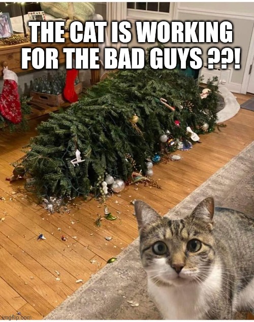 THE CAT IS WORKING FOR THE BAD GUYS ??! | image tagged in cat christmas tree | made w/ Imgflip meme maker