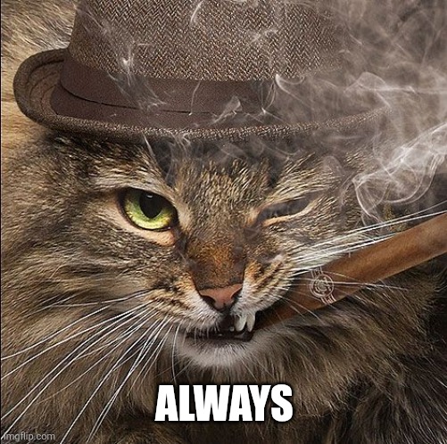 Gangster cat | ALWAYS | image tagged in gangster cat | made w/ Imgflip meme maker