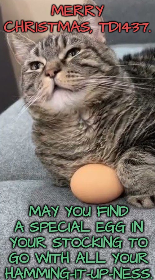 MERRY CHRISTMAS, TD1437. MAY YOU FIND A SPECIAL EGG IN YOUR STOCKING TO GO WITH ALL YOUR HAMMING-IT-UP-NESS. | made w/ Imgflip meme maker