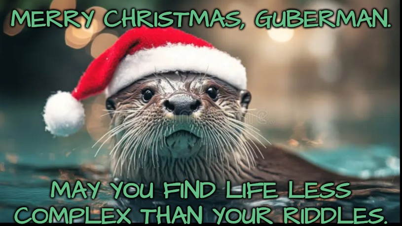 MERRY CHRISTMAS, GUBERMAN. MAY YOU FIND LIFE LESS COMPLEX THAN YOUR RIDDLES. | made w/ Imgflip meme maker