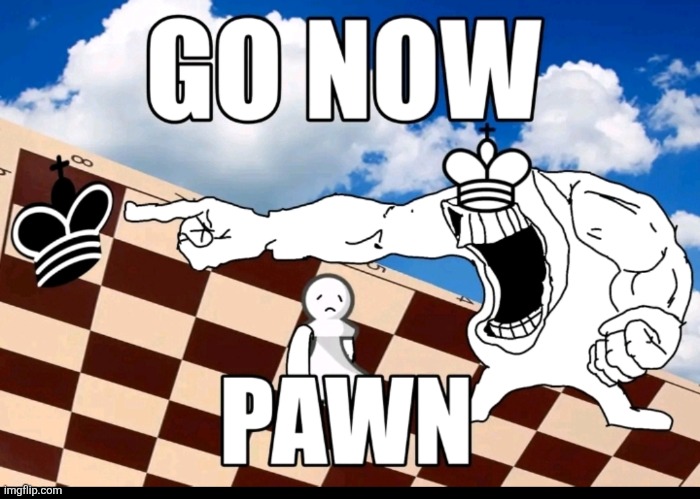 Chess is actually so fun to play | made w/ Imgflip meme maker
