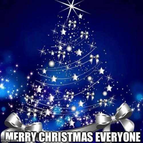 AND A HAPPY NEW YEAR! | MERRY CHRISTMAS EVERYONE | image tagged in merry christmas | made w/ Imgflip meme maker