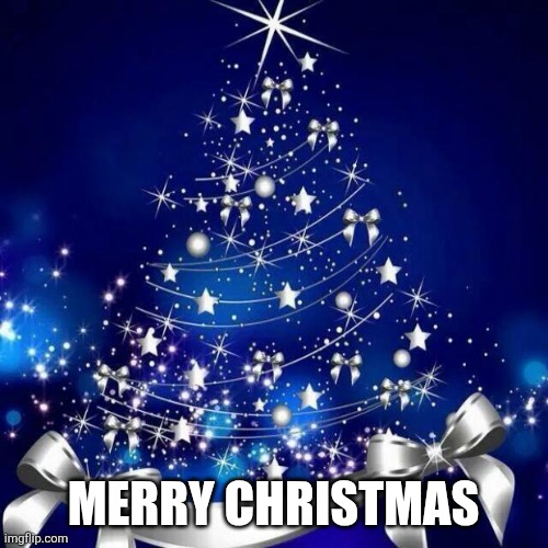 Merry Christmas | MERRY CHRISTMAS | image tagged in merry christmas | made w/ Imgflip meme maker