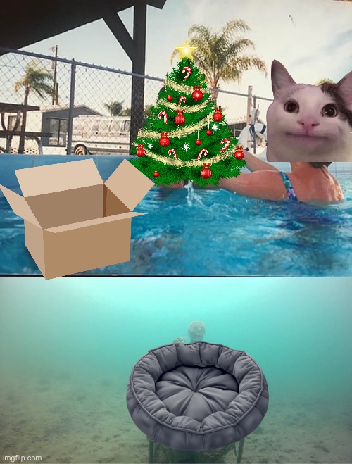 Cats have priorities. | image tagged in mother ignoring kid drowning in a pool,cat bed,cardboard box,christmas tree | made w/ Imgflip meme maker
