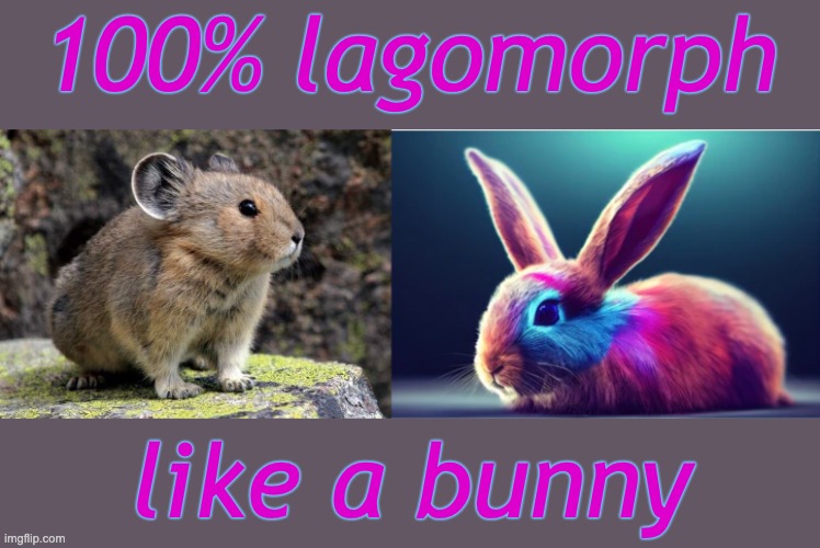 100% lagomorph like a bunny | image tagged in annoyed pika,rainbow rabbit | made w/ Imgflip meme maker