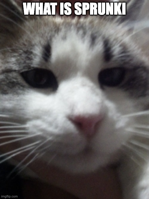 Sour Hart announcement template | WHAT IS SPRUNKI | image tagged in sour hart announcement template | made w/ Imgflip meme maker