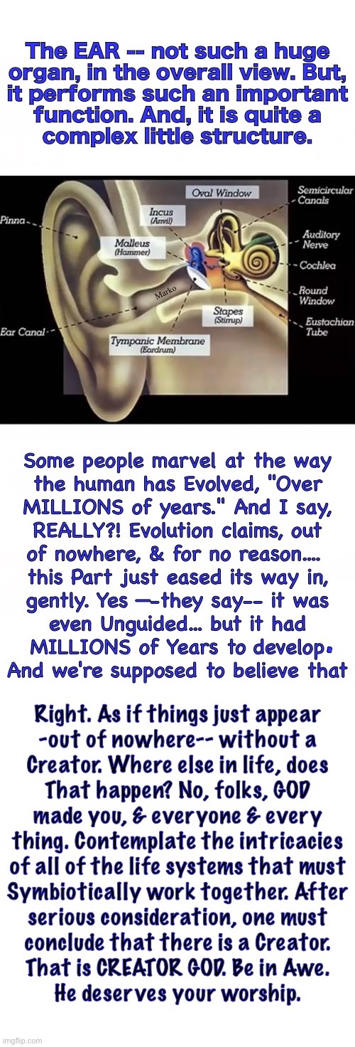 I Hear Ya | . | image tagged in memes,why do people believe the primordial soup fantasy,recognize the obvious truth,he spoke,the word created,fjb voters suck | made w/ Imgflip meme maker