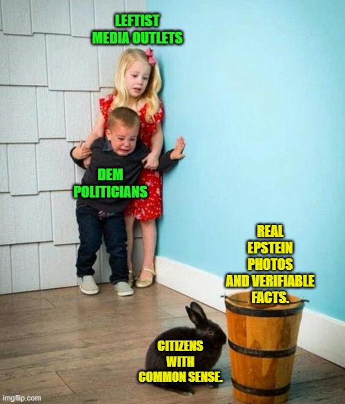 Merry Christmas. | LEFTIST MEDIA OUTLETS; DEM POLITICIANS; REAL EPSTEIN PHOTOS AND VERIFIABLE FACTS. CITIZENS WITH COMMON SENSE. | image tagged in children scared of rabbit | made w/ Imgflip meme maker