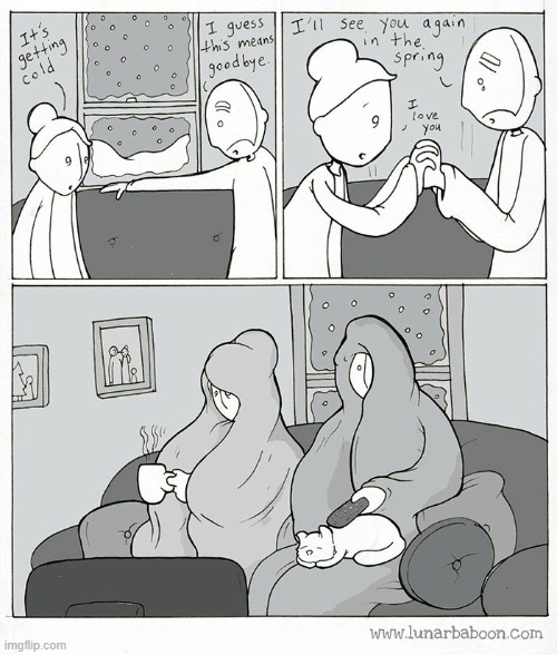 image tagged in cold,winter,goodbye,blanket,blankets | made w/ Imgflip meme maker