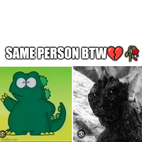 Blank Transparent Square Meme | SAME PERSON BTW💔🥀 | image tagged in memes,blank transparent square | made w/ Imgflip meme maker