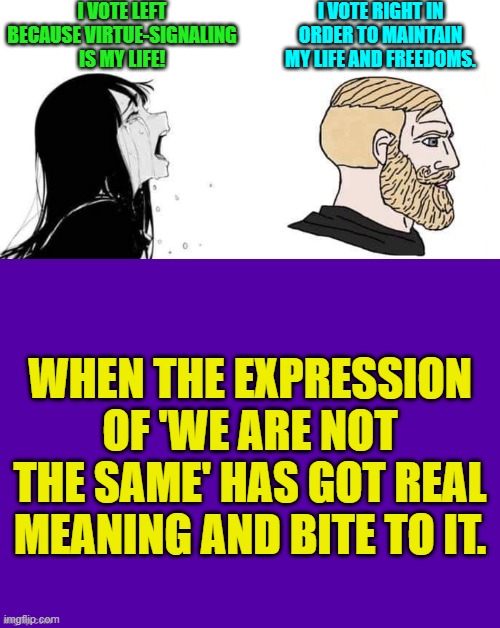 Or . . . if leftists ever actually DID think then they would not be leftists. | I VOTE LEFT BECAUSE VIRTUE-SIGNALING IS MY LIFE! I VOTE RIGHT IN ORDER TO MAINTAIN MY LIFE AND FREEDOMS. WHEN THE EXPRESSION OF 'WE ARE NOT THE SAME' HAS GOT REAL MEANING AND BITE TO IT. | image tagged in babe please | made w/ Imgflip meme maker