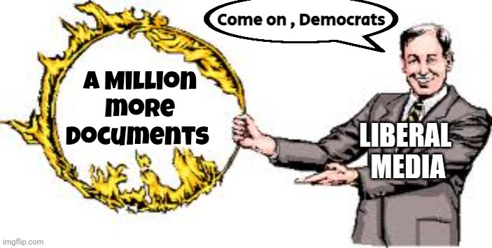 Step right this way , Ladies and Gentlemen | A Million more documents | image tagged in jumping through hoops,circus,democrats clown show,visible confusion,too damn high | made w/ Imgflip meme maker