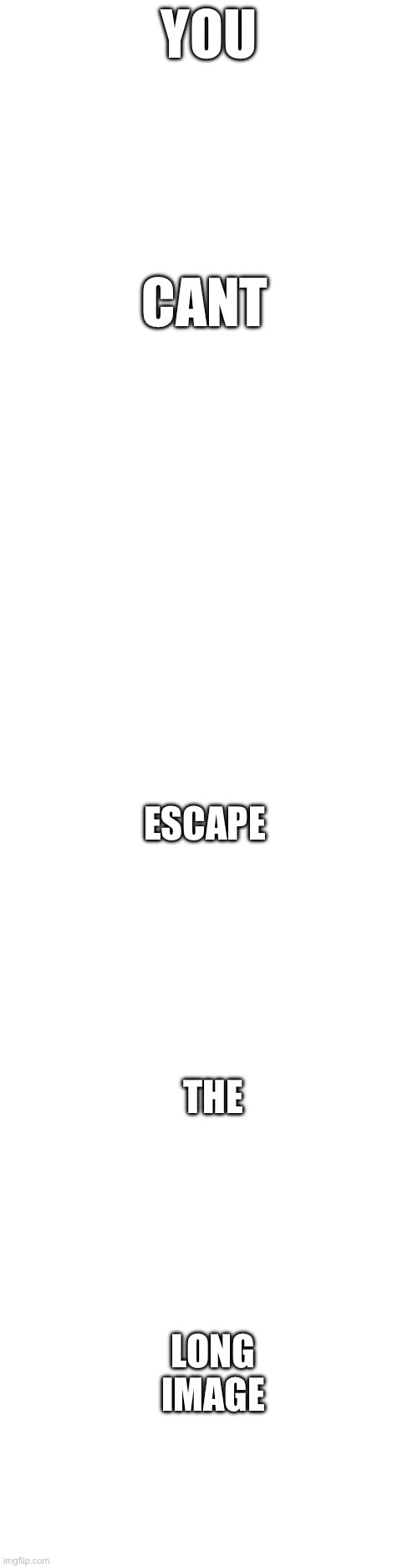 Ageag | YOU; CANT; ESCAPE; THE; LONG IMAGE | image tagged in blank white template | made w/ Imgflip meme maker