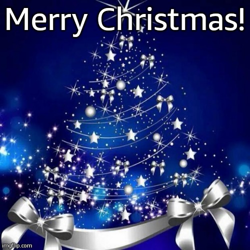 Merry Christmas  | Merry Christmas! | image tagged in merry christmas | made w/ Imgflip meme maker