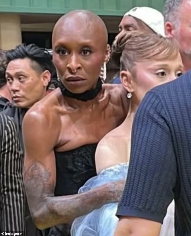 Chyntia Erivo protecting Ariana Blank Meme Template