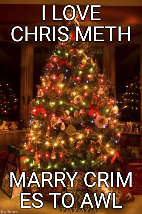 woohoo | I LOVE CHRIS METH; MARRY CRIM ES TO AWL | image tagged in christmas tree | made w/ Imgflip meme maker