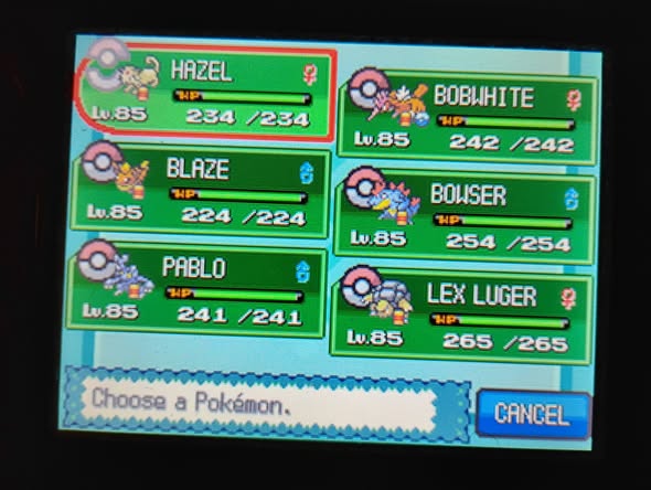 Soulsliver team Blank Meme Template