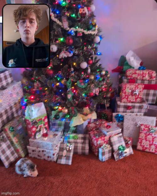 Merry rizzmas | image tagged in rizz,christmas,presents,merry christmas,shinobii,tree | made w/ Imgflip meme maker