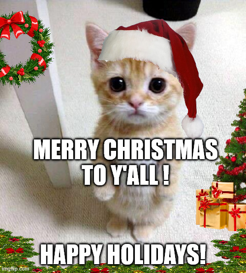 Merry Christamas and happy holidays to all of you imgflippers! | MERRY CHRISTMAS TO Y'ALL ! HAPPY HOLIDAYS! | image tagged in memes,cute cat,merry christmas,christmas,cat | made w/ Imgflip meme maker