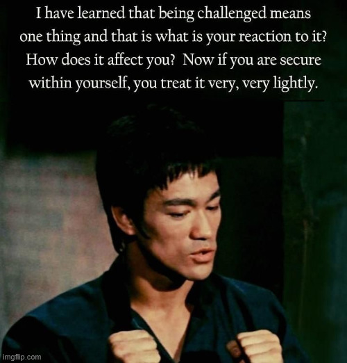Bruce Lee | image tagged in boxing,kung fu,bruce lee,climbing,latticeclimbing,lattice climbing | made w/ Imgflip meme maker