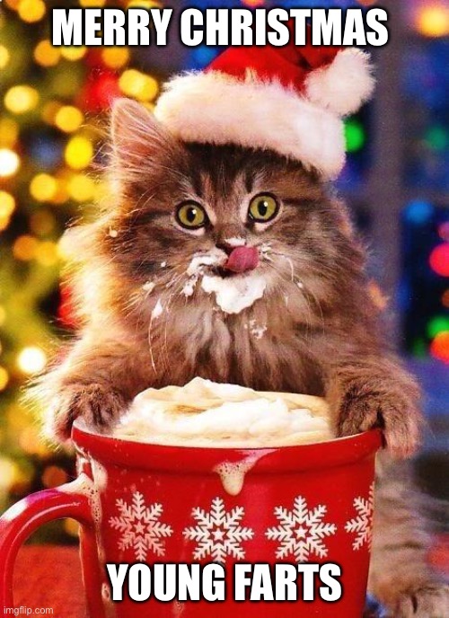 Merry Christmas Young Farts | MERRY CHRISTMAS; YOUNG FARTS | image tagged in christmas-cat | made w/ Imgflip meme maker