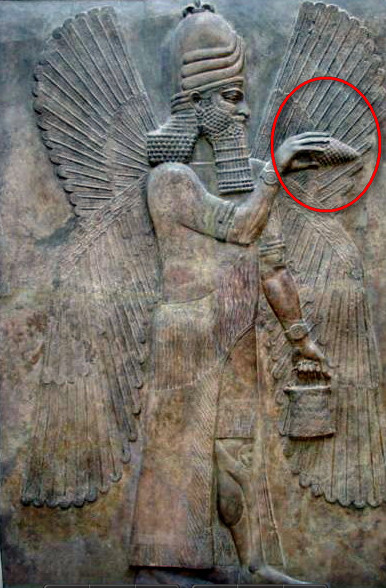 El Jesus Christmas tree Blank Meme Template