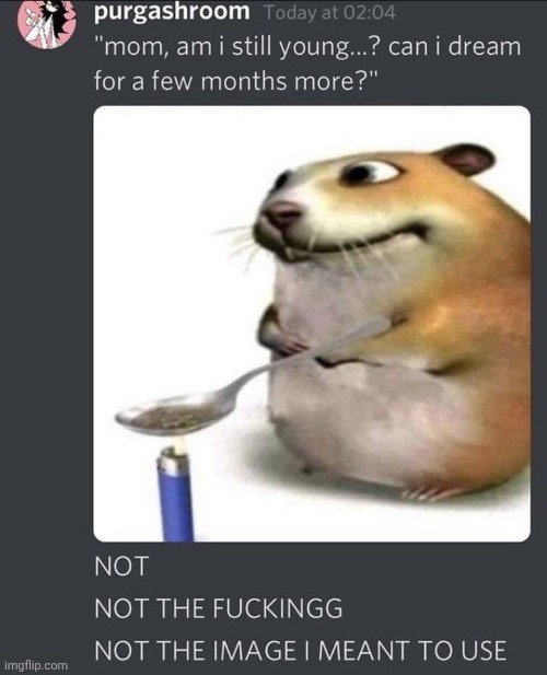 image tagged in memes,funny,hamster,drugs | made w/ Imgflip meme maker