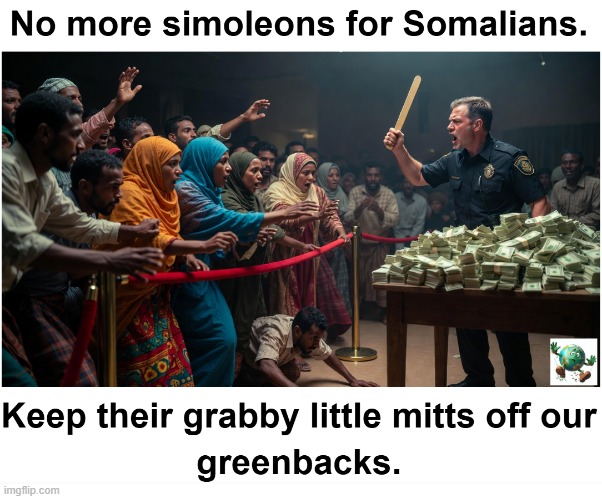 What should be done about the alleged fraud against American taxpayers involving Somali immigrants and Minnesota politicians? | made w/ Imgflip meme maker