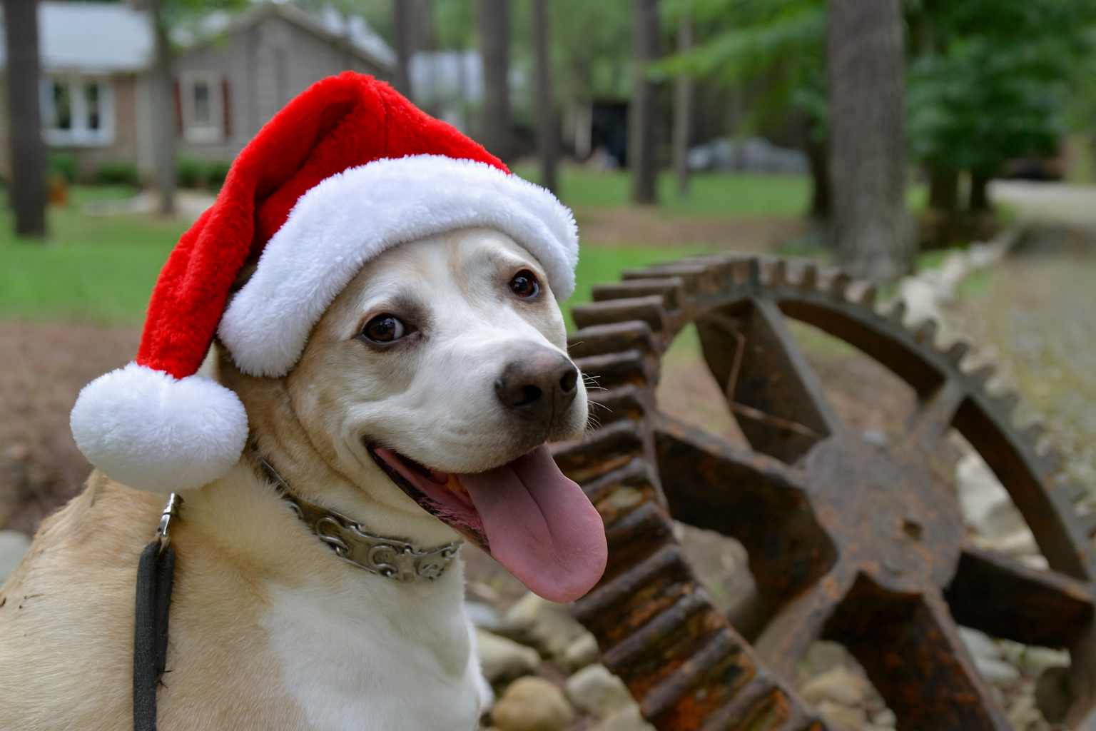 Diesel Blank Meme Template