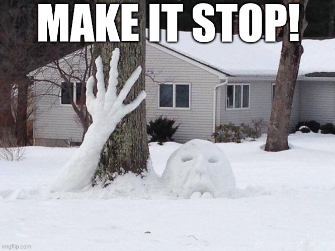 Make It Stop! | MAKE IT STOP! | image tagged in chrisjoines1 | made w/ Imgflip meme maker