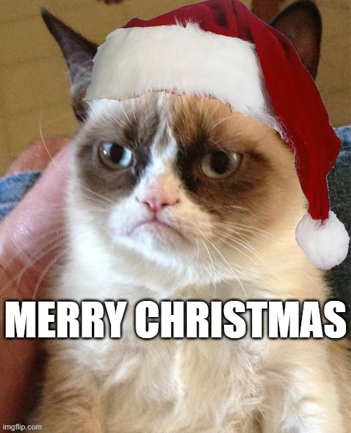 Grump Cat | MERRY CHRISTMAS | image tagged in grump cat | made w/ Imgflip meme maker