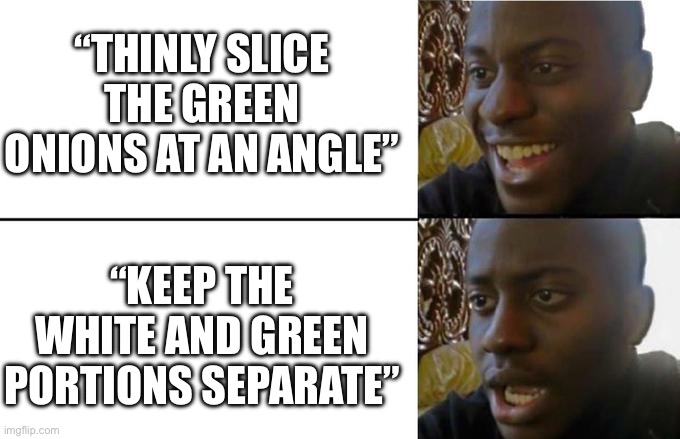 Disappointed Black Guy (Official Version) | “THINLY SLICE THE GREEN ONIONS AT AN ANGLE”; “KEEP THE WHITE AND GREEN PORTIONS SEPARATE” | image tagged in disappointed black guy official version,cooking,daily cooking lesson,learning,adulting | made w/ Imgflip meme maker