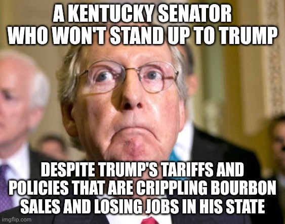 Turtling up in his shell | A KENTUCKY SENATOR WHO WON'T STAND UP TO TRUMP; DESPITE TRUMP'S TARIFFS AND POLICIES THAT ARE CRIPPLING BOURBON SALES AND LOSING JOBS IN HIS STATE | image tagged in mitch mcconnell,donald trump,tariffs,bourbon,turtle | made w/ Imgflip meme maker
