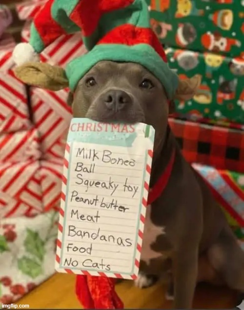 Wish List | image tagged in christmas presents,gifts,cute dogs,list | made w/ Imgflip meme maker