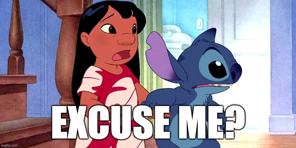 lilo and stitch shocked | EXCUSE ME? | image tagged in lilo and stitch shocked | made w/ Imgflip meme maker