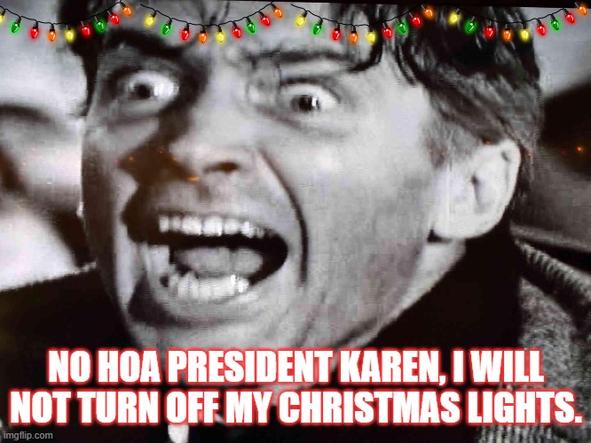 Light it up! | NO HOA PRESIDENT KAREN, I WILL NOT TURN OFF MY CHRISTMAS LIGHTS. | image tagged in christmas,lights,hoa | made w/ Imgflip meme maker