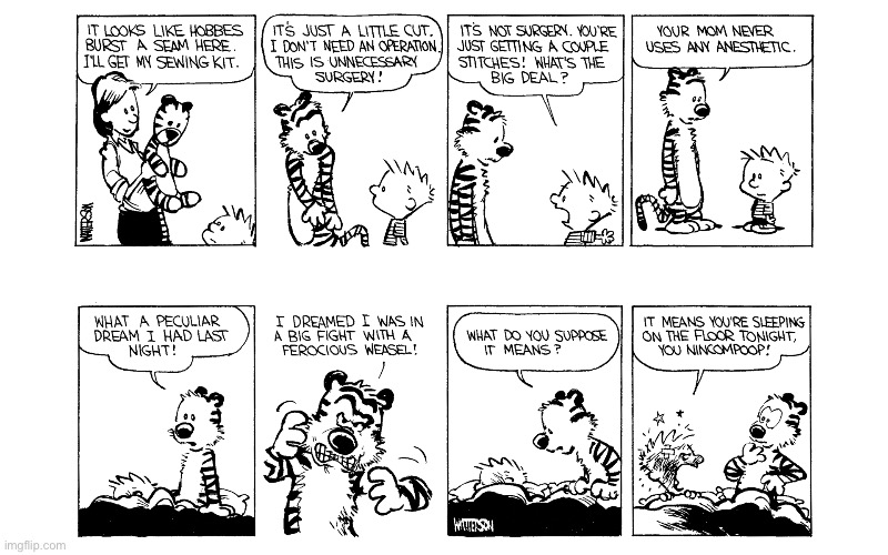 image tagged in calvin and hobbes,comics | made w/ Imgflip meme maker