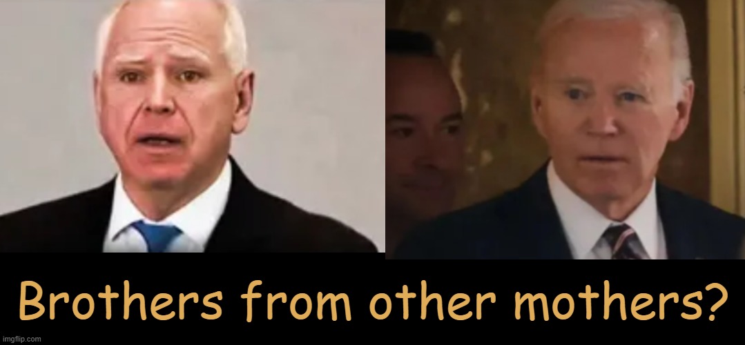 Manipulative Money Moochers | Brothers from other mothers? | image tagged in tim walz,joe biden,brothers,they are the same picture,manipulation,democrats | made w/ Imgflip meme maker