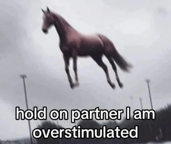 hold on partner i am overstimulated Blank Meme Template