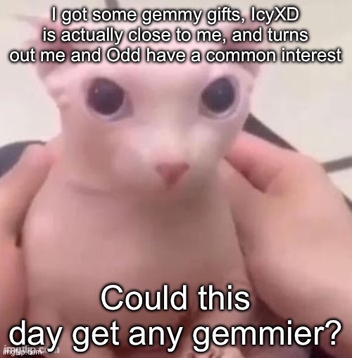 bingus | I got some gemmy gifts, IcyXD is actually close to me, and turns out me and Odd have a common interest; Could this day get any gemmier? | image tagged in bingus | made w/ Imgflip meme maker