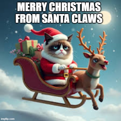 Merry Christmas from Santa Claws..........     --  funny cat  -- | MERRY CHRISTMAS FROM SANTA CLAWS | image tagged in cat,kittens,santa claus,christmas,funny,merry christmas | made w/ Imgflip meme maker
