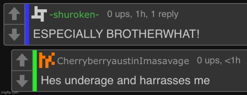 six year old underage user thinks brotherwhat98 is underage | image tagged in ragebait,newgen | made w/ Imgflip meme maker