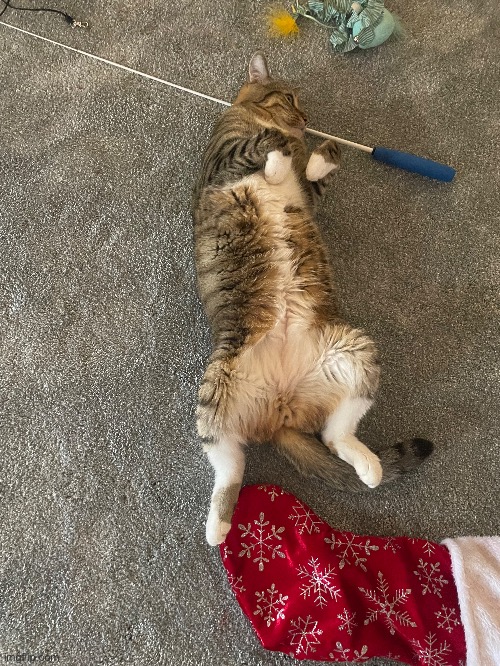 He’s tired after playing with his presents. | made w/ Imgflip meme maker