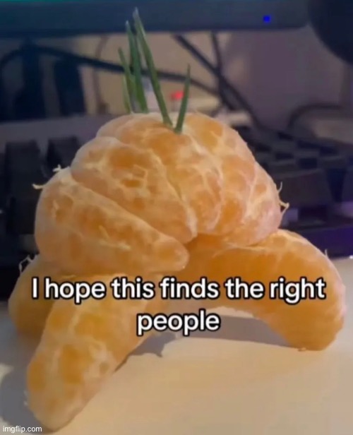 CITRON!! IT’S CITRON | made w/ Imgflip meme maker