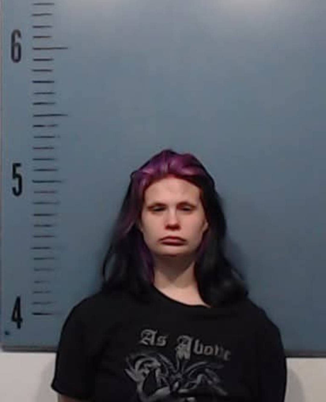 Goth Chick Mugshot Blank Meme Template