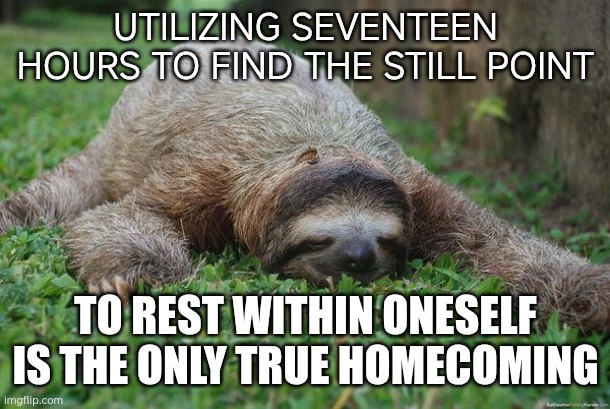 Sleeping sloth | UTILIZING SEVENTEEN HOURS TO FIND THE STILL POINT; TO REST WITHIN ONESELF IS THE ONLY TRUE HOMECOMING | image tagged in sleeping sloth | made w/ Imgflip meme maker