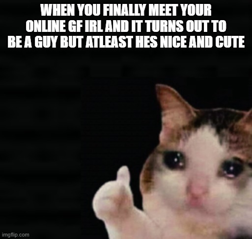 *gayness intensifies* | WHEN YOU FINALLY MEET YOUR ONLINE GF IRL AND IT TURNS OUT TO BE A GUY BUT ATLEAST HES NICE AND CUTE | image tagged in thumbs up crying cat,gay,online,funny,meme,girlfriend | made w/ Imgflip meme maker