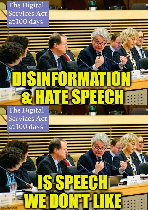 Free speech is what we tell you it is | DISINFORMATION 
& HATE SPEECH; IS SPEECH
WE DON'T LIKE | image tagged in free speech | made w/ Imgflip meme maker
