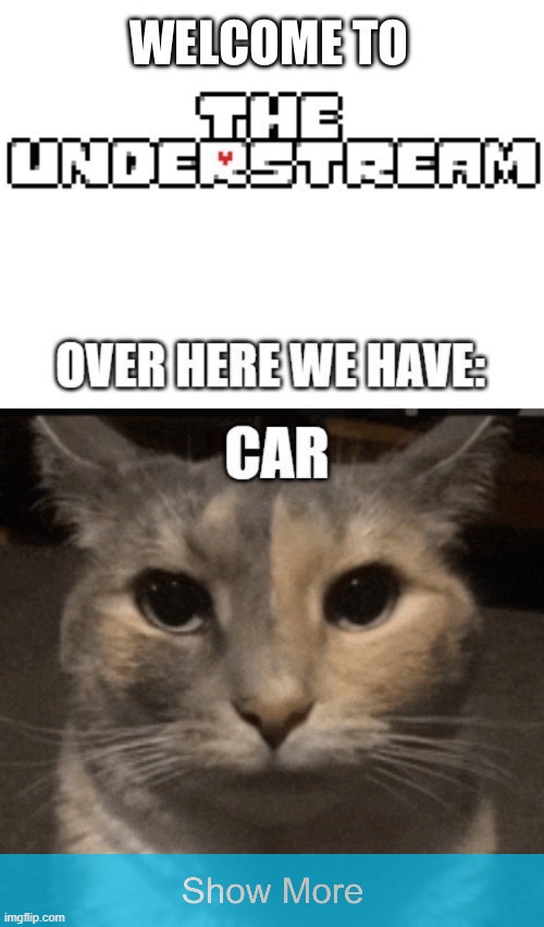 added wubboc | made w/ Imgflip meme maker